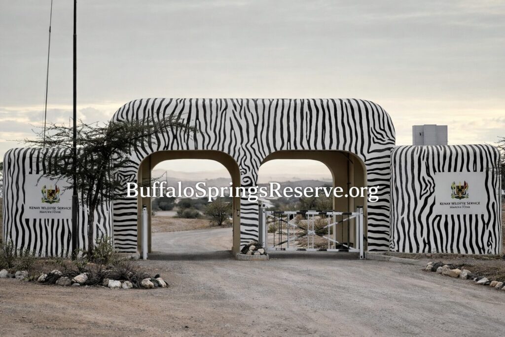Buffalo-Springs-National-Reserve-Homepage-for-BuffaloSpringsReserveorg.jpg